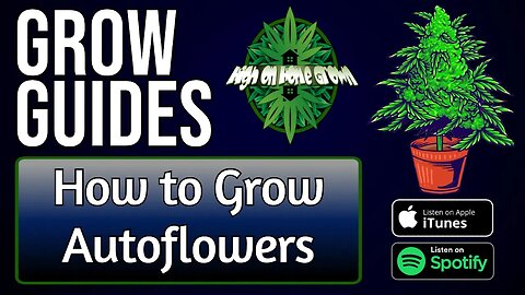How to Grow Autoflowering Cannabis Plants | Grow Guides Episode 40