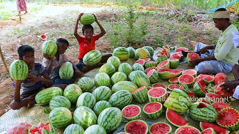 500 KG WATERMELON | Summer Health Drinks | WaterMelon Juice from Farm Fresh Fruits | Village Cooking