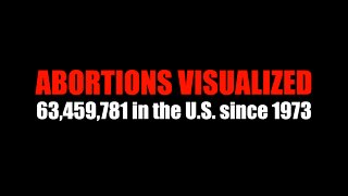 Abortions Visualized