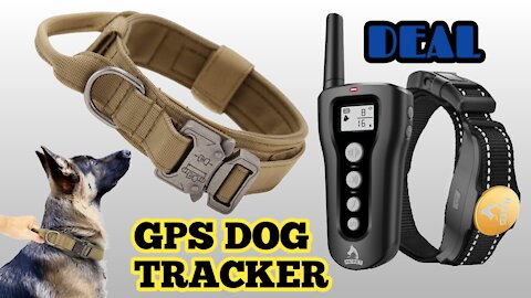 Tractive Waterproof GPS Dog Tracker