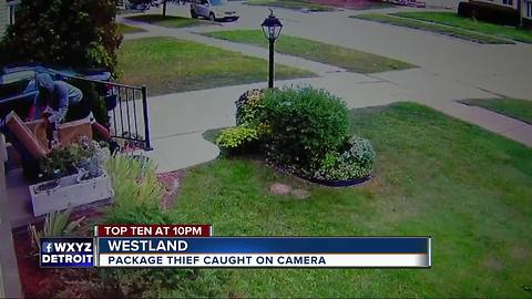 Package thief caught on camera in Westland