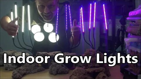 A Guide to USB Indoor Growing Lights