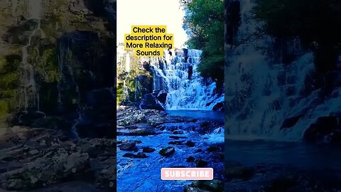 Captivating Waterfall Sounds with Cheerful Bird Songs for Total Relaxation