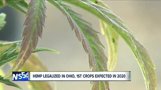 2020 will bring big changes for CBD users in Ohio after getting started in 2018