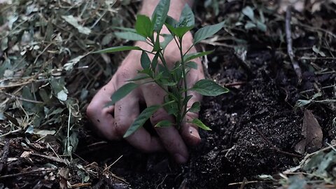 The Best Gardening Method