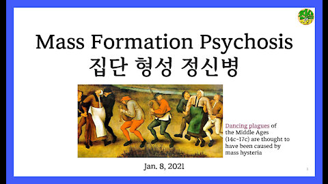 집단 형성 정신병 (Mass Formation Psychosis)