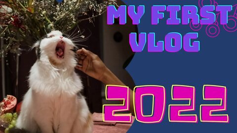 cat training | cat training videos | how to train a cat with clicker training || my first vlog 2022
