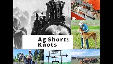 KNOTS & When to Use Them on the Ranch! - Ag Shorts