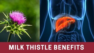 Detox & Repair your Liver with Milk Thistle