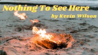 NOTHING TO SEE HERE by Kevin Wilson