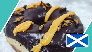 INSECT DONUTS In Scotland / Hugo Talks Some More #lockdown