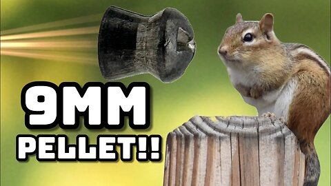 Is 9mm too much for Chipmunks?