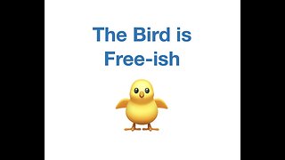 #156 The Bird is Free-ish Elon Musk and Twitter