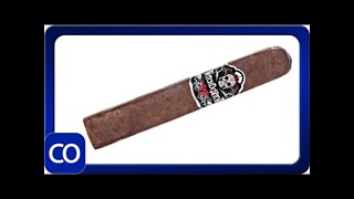 Witchdoktor Robusto Cigar Review