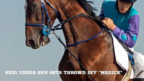 Enter the Insanely Laughter-Filled World of Madick the Racehorse! #shorts #comedy #comedyshorts
