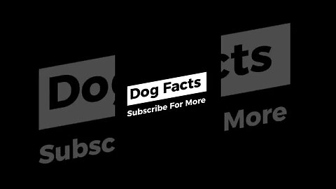 Dog Facts - I Bet You Don't Know 🐶🐩🐕🦴🐕‍🦺 #dogs #doglovers #dogfacts #dogsofinstagram #shorts