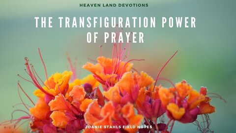 Heaven Land Devotions - The Transfiguration Power of Prayer