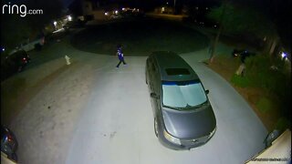 Buckeye PD looking for auto thieves