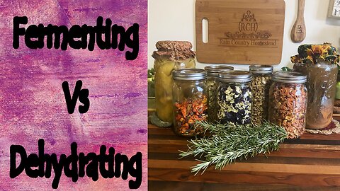 Fermenting Vs Dehydrating