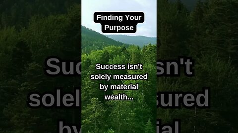 Success isn't just measured by material wealth #purpose #prosperity
