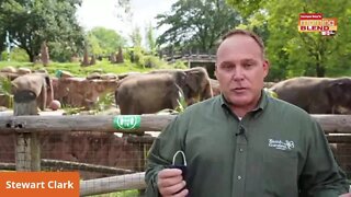 Busch Gardens Reopens|Morning Blend