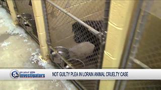 Kennel owners charged with 21 counts of cruelty