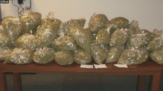 Deputy finds 60 pounds of pot during traffic stop