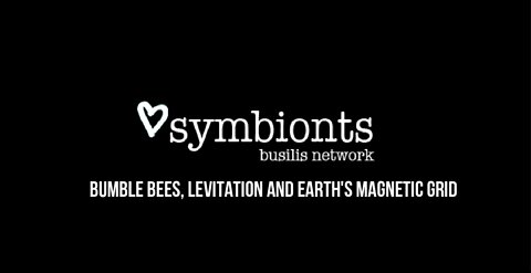 Bumble Bees, Levitation and Earth's Magnetic Grid.