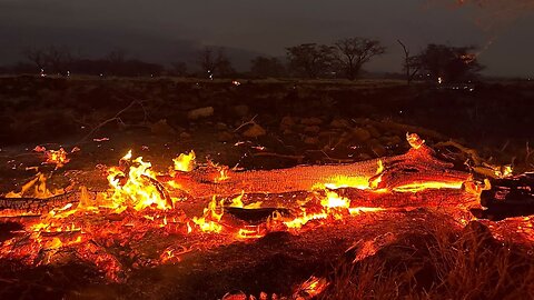Maui fires death toll rises to 96, becoming deadliest wildfire in modern U.S. history