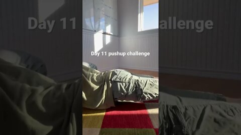 Day 12 pushup challenge