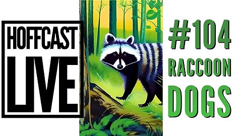 Raccoon Dogs | Hoffcast LIVE #104