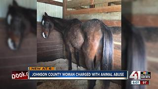 Woman charged with animal abuse after starving horses found in Odessa