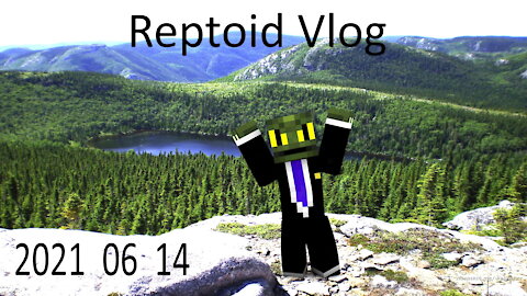 Reptoid Vlog 2021 06 14 - Moving forward with the weirdest lizard you know.