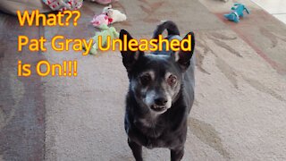 MR BEAN DOG WATCHES PAT GRAY UNLEASHED