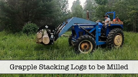 Using the Best Grapple to Load Logs for the Sawmill