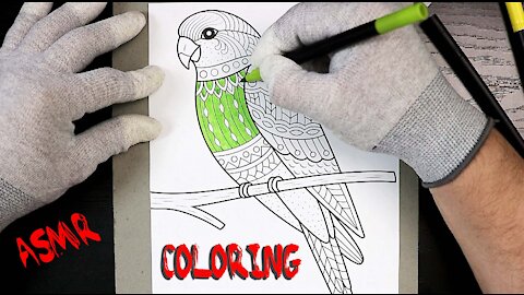 ASMR Coloring Animals-Parakeet