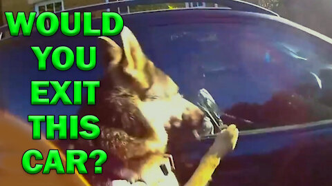 Would You Exit This Car With K-9 Outside? LEO Round Table S06E38e