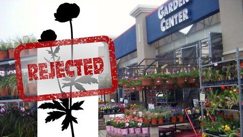 Plants the MAINSTREAM Garden Centers Won't Sell You!