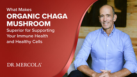 What Makes ORGANIC CHAGA MUSHROOM Superior for Supporting Your Immune Health and Healthy Cells