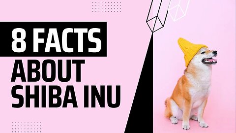 Interesting Facts About Shiba Inu. Learn more about this interesting breed.