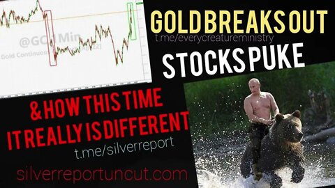 Stocks Puke And Gold Loves It, Bond Market Turns, And This Is Why This Time Really Is Different