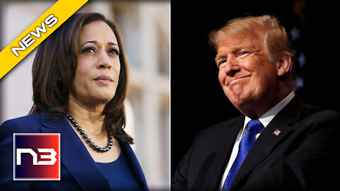 NEW Poll Reveals Who Would Win in 2024 if it Came Down to Trump v Harris