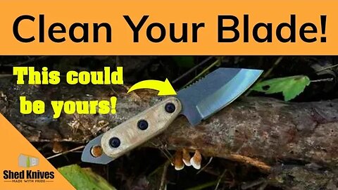 How To Clean Your Fixed Blade Knife | Shed Knives #shedknives