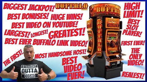 💥Biggest/BEST BUFFALO LINK Video On YouTube! Also the: Longest, Highest, Friendliest, First, Last