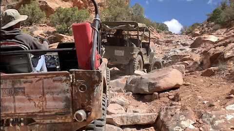 Willys Jeeps on Onion Creek Road - Rose Garden Hill - Delores Overlook