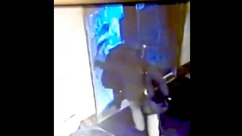 Woman Wins 35 Million Dollar Settlement After Glass Door Shattered On Her Head In New York City
