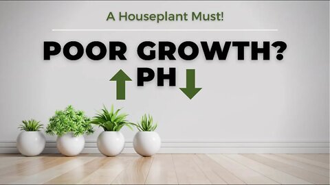 How To Change Potting Soil pH? Why This Is A MUST For Houseplants & Containers | Soil Scientist