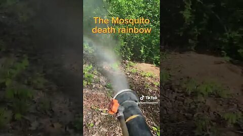 Mosquito death rainbow