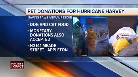 Saving Paws Animal Rescue collecting donations for pets in Texas