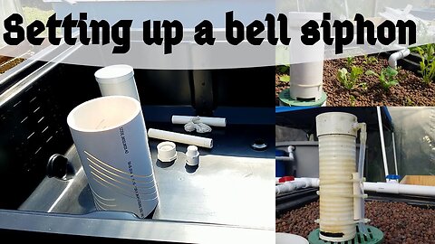 How to set up a bell siphon (Hybrid aquaponic system)